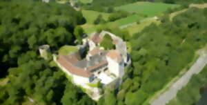 photo Journées Européennes du Patrimoine : Visites guidées du château de Cenevières