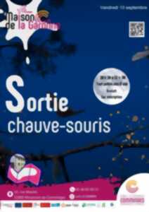 SORTIE CHAUVE-SOURIS