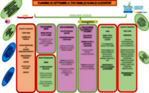 photo Formation : comment communiquer dans son association et avec ses partenaires.