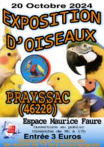 photo Exposition d'oiseaux