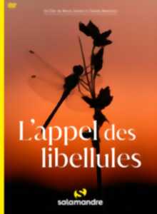 photo Ciné-discussion : L'Appel des Libellules