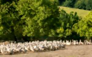 Journées du patrimoine : portes ouvertes à la Ferme des Roucel