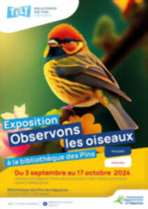 photo Exposition : observons les oiseaux