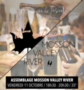 ATELIER ASSEMBLAGE DU MOSSON VALLEY RIVER