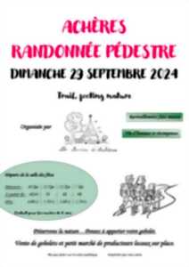 Randonnée pédestre