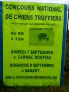 Concours national de chiens truffiers