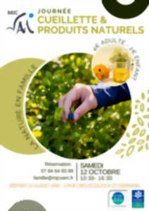 Journée cueillette et produits naturels