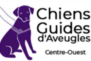 photo Les Chiens Guides Days