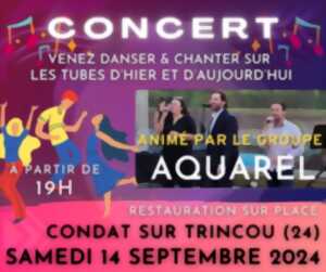 photo Concert animé par le groupe AQUAREL