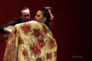 photo Festival d'hiver Arte Flamenco - Lucia 