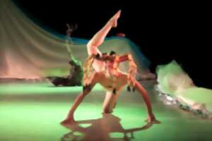 photo Saison culturelle 2024-2025 - Compagnie Elirale