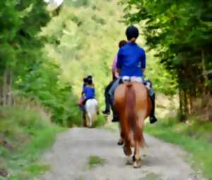 Randonnée à cheval et VTT