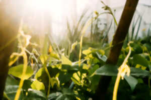 Journée église verte, permaculture