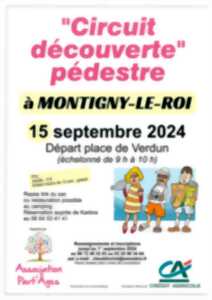 CIRCUIT DÉCOUVERT PÉDESTRE À MONTIGNY-LE-ROI