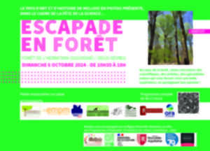 ESCAPADE EN FORÊT