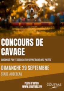 photo Concours de cavage – Viens dans mes pattes