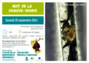 Nuit de la chauve-souris