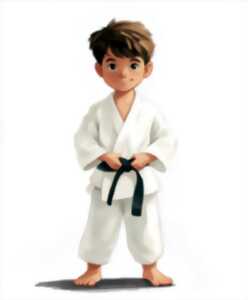 photo cours de judo