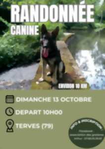 photo Randonnée canine