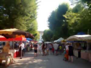 photo Marché Hebdomadaire de la Roche-Posay