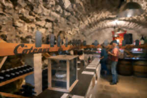 photo FASCINANT WEEK-END - VISITE DE LA GROTTE DE LABEIL ET DEGUSTATION DE VINS AOP TERRASSES DU LARZAC