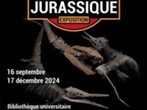 photo EXPOSITION - MONSTRES MARINS DU JURASSIQUE