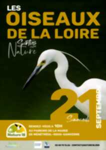 Les oiseaux de la Loire