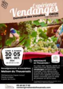 Expérience vendanges