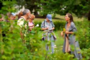 LES SORTIES NATURE - LES PLANTES MÉDICINALES