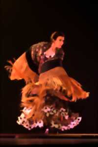 photo Flamenco, Flamenco !