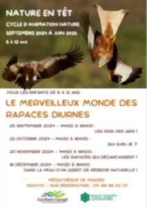 LES GRANDS RAPACES: LES RAPACES QUI DÉCARCASSENT !