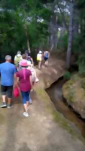 LES BALADES DU CONFLENT 