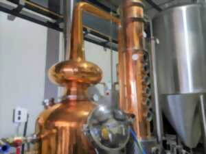 VISITE DE LA BRASSERIE DISTILLERIE LA CANYA