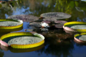 photo VISITE DE L'ARBORETUM & SES SECRETS