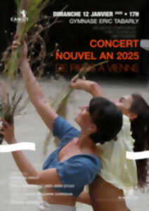 photo CONCERT DU NOUVEL AN : DE PARIS A VIENNE