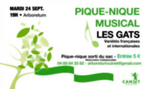 photo PIQUE-NIQUE MUSICAL : LES  GATS