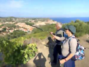 photo BALADE VINOHRANDO DANS LES VIGNES !