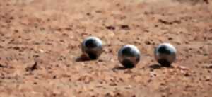 Concours de pétanque