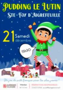 VIENS T'AMUSER AVEC PUDDING, LE LUTIN DU PERE NOEL !