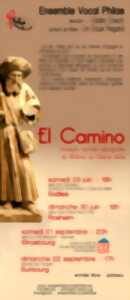 photo Concert : El Camino