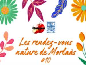 photo Les Rendez-vous nature