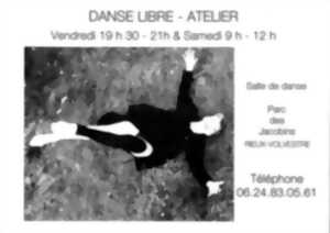 photo ATELIER DANSE LIBRE