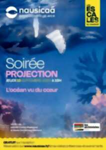 Soirée projection - 