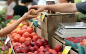 Marché de producteurs locaux et artisans