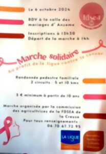 photo Marche solidaire