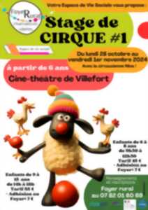 STAGE DE CIRQUE #1