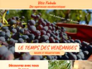 photo LE TEMPS DES VENDANGES