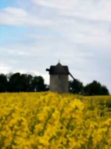 Visite guidée du Moulin de Frouville Pensier