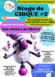 photo STAGE DE CIRQUE #2