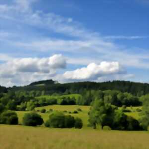 Cycles de conférences du Parc | Paysage par Gilles Clément